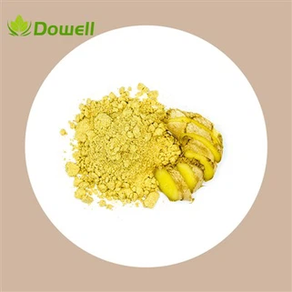 Serbuk Ekstrak Akar Halia