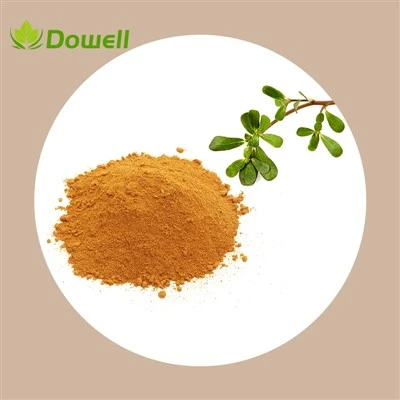 Serbuk Ekstrak Herba Purslane|Ekstrak Portulaca Oleracea untuk Kosmetik Kulit Sensitif